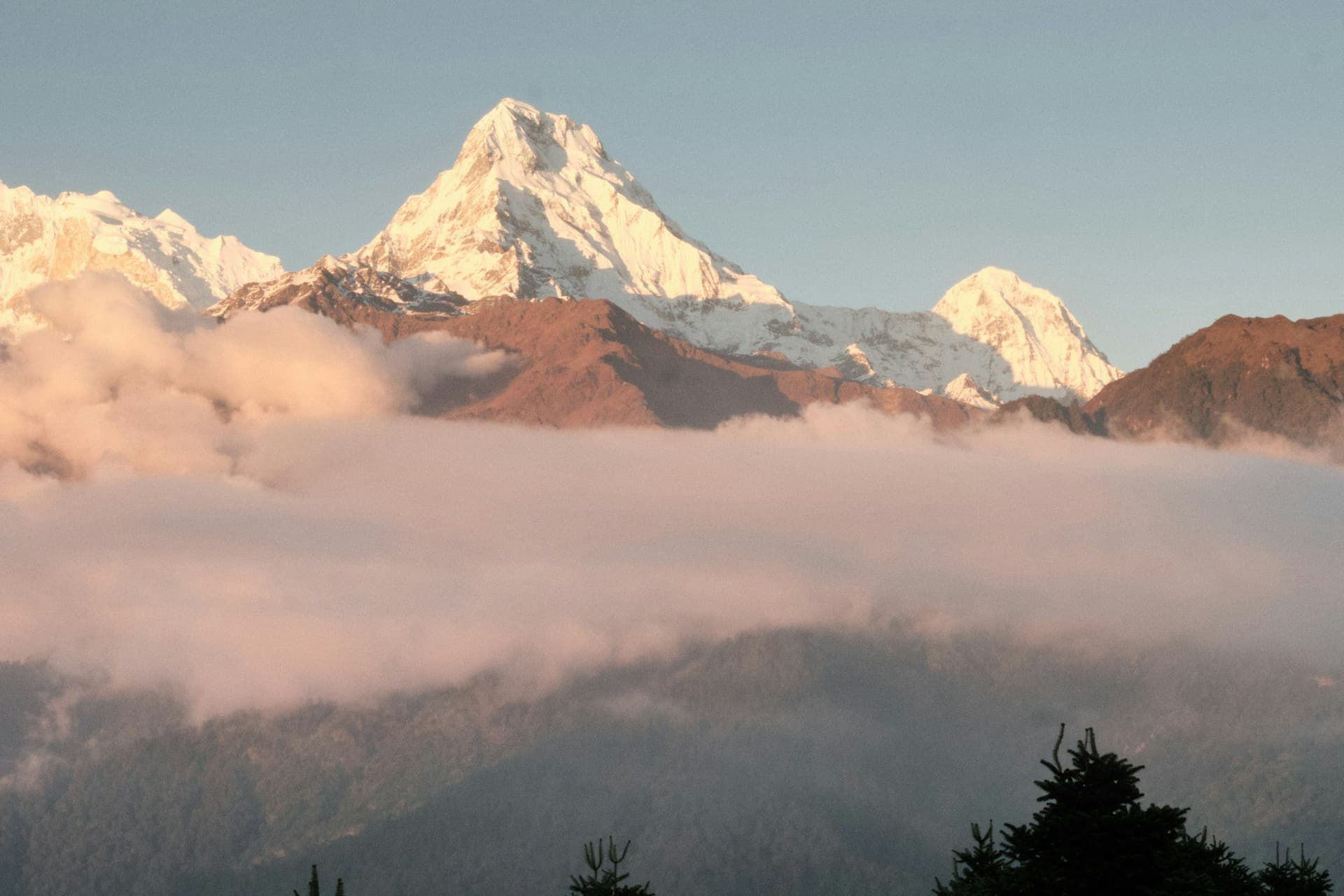 Annapurna South above a sea of cloud, from the trail up the ridge