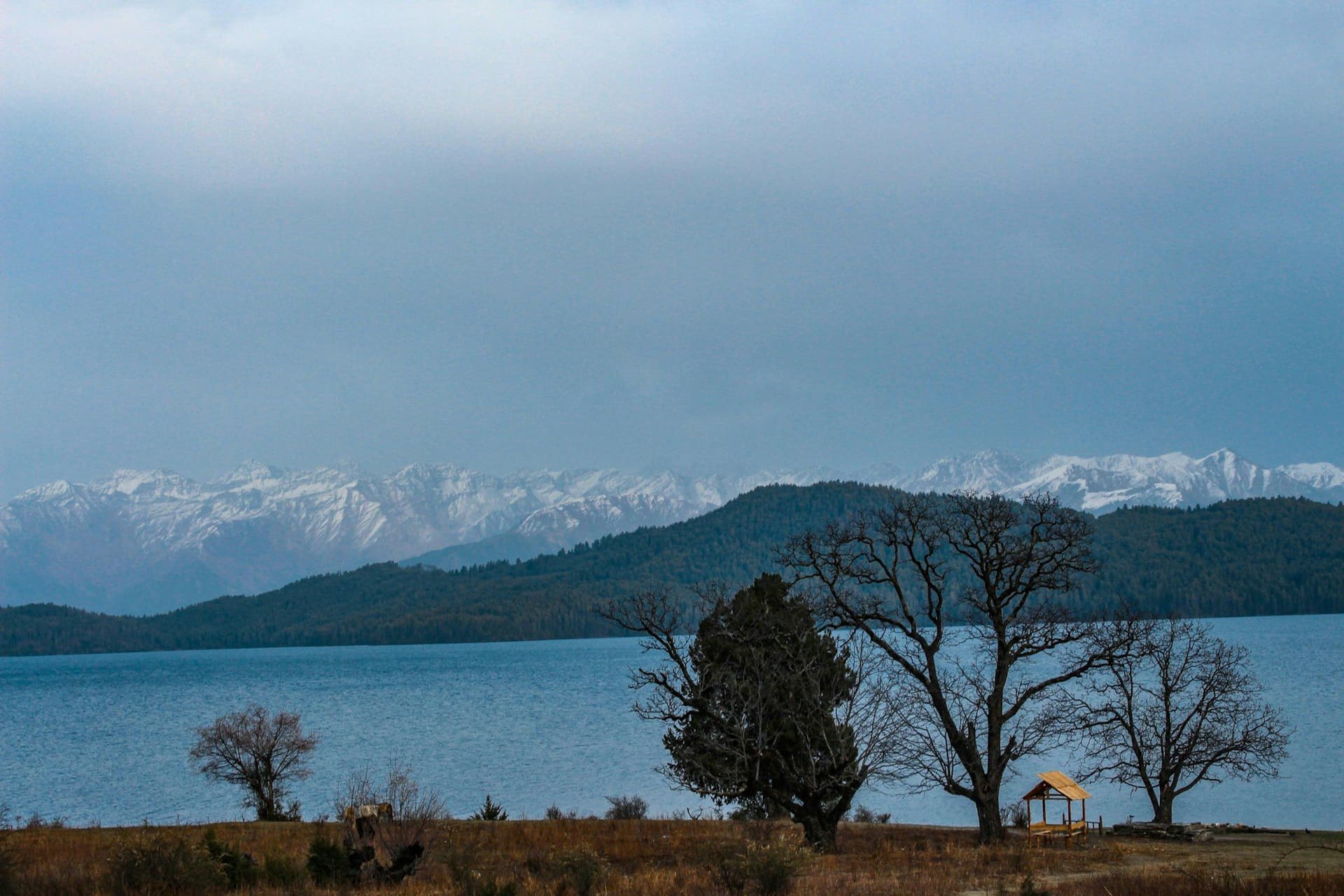 Rara Lake with bare shoreline trees and the snow range behind