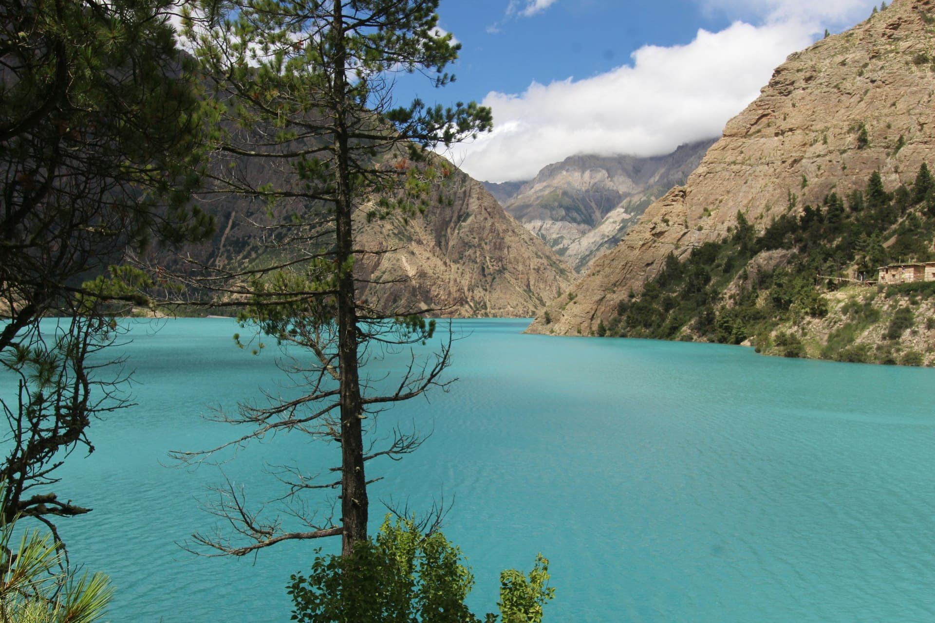 The turquoise of Shey Phoksundo seen through blue pine