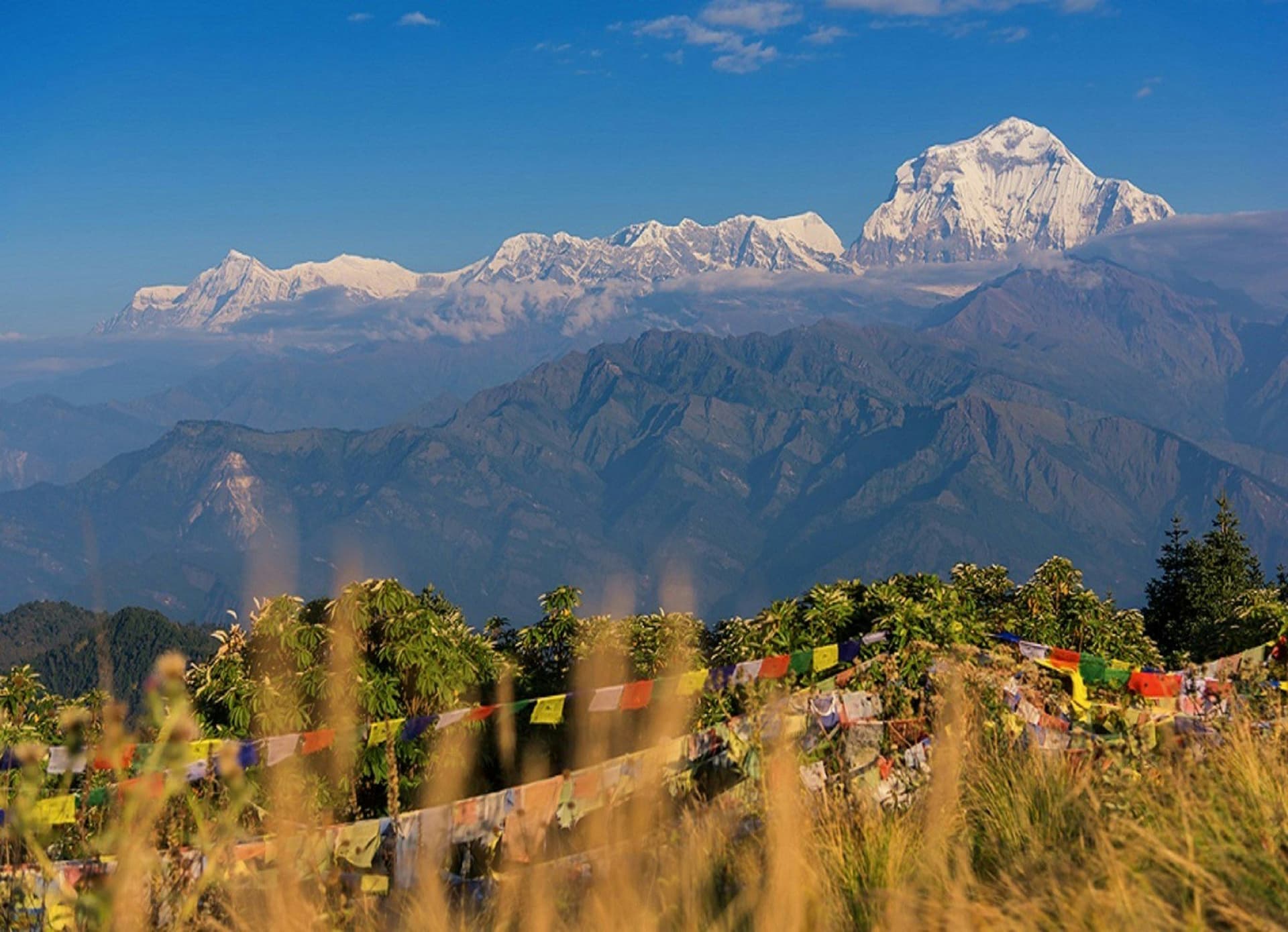 The Annapurna range seen from the Ghorepani ridge